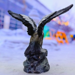 Орел на камне  (5)